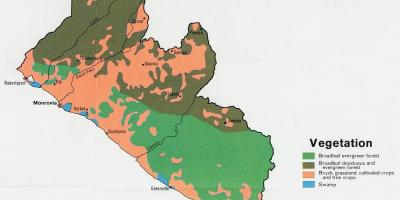 Բուսականության քարտեզ քարտեզ Լիբերիայի